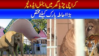 Animal Adventure At Karachi Zoo Explore The Wild Side