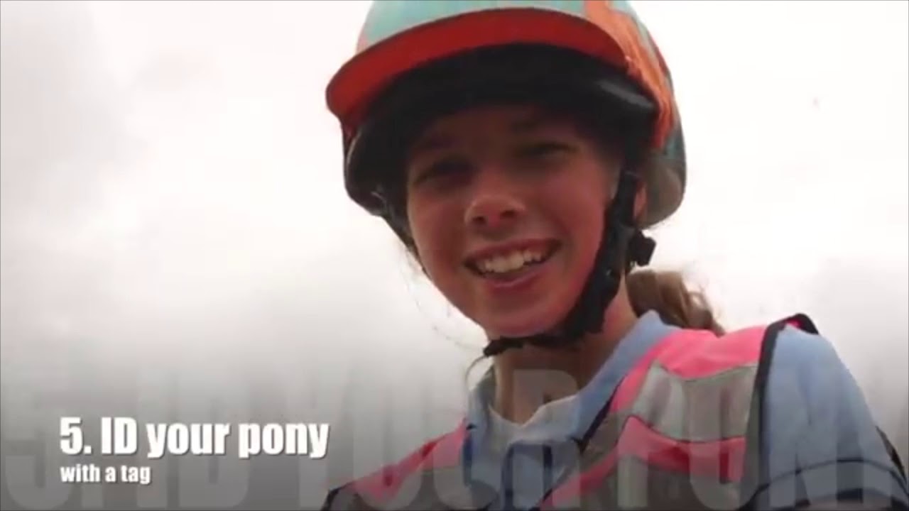 Safe checking for horse riding