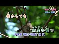 津和野川  字義版