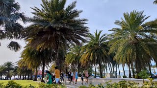 Florida in 4K: A Cinematic Odyssey Through Sunshine and Nature