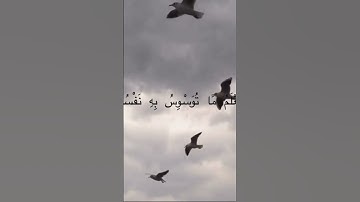 القران الكريم #اكسبلور #القرآن_الكريم #المصحف #اكسبلور_explore #الرحمن #تيك_توك #السعودية #اكسبلور