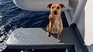 Babapiro Maçı Burak Vs Yiğit