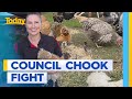 Popular cafe fighting council over right for chooks to roam | Today Show Australia