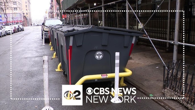 Nyc Program Aimed At Reducing Trash Rats Will Be Expanded