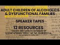 Confronting the Critical Parent for True Recovery - Lucia C - ACA Speaker