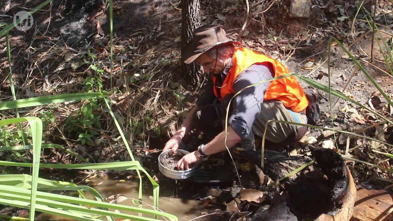 Exploration - Greenfield