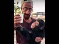 Lacrim a retrouvé le singe des pulls baby Milo 😂😂
