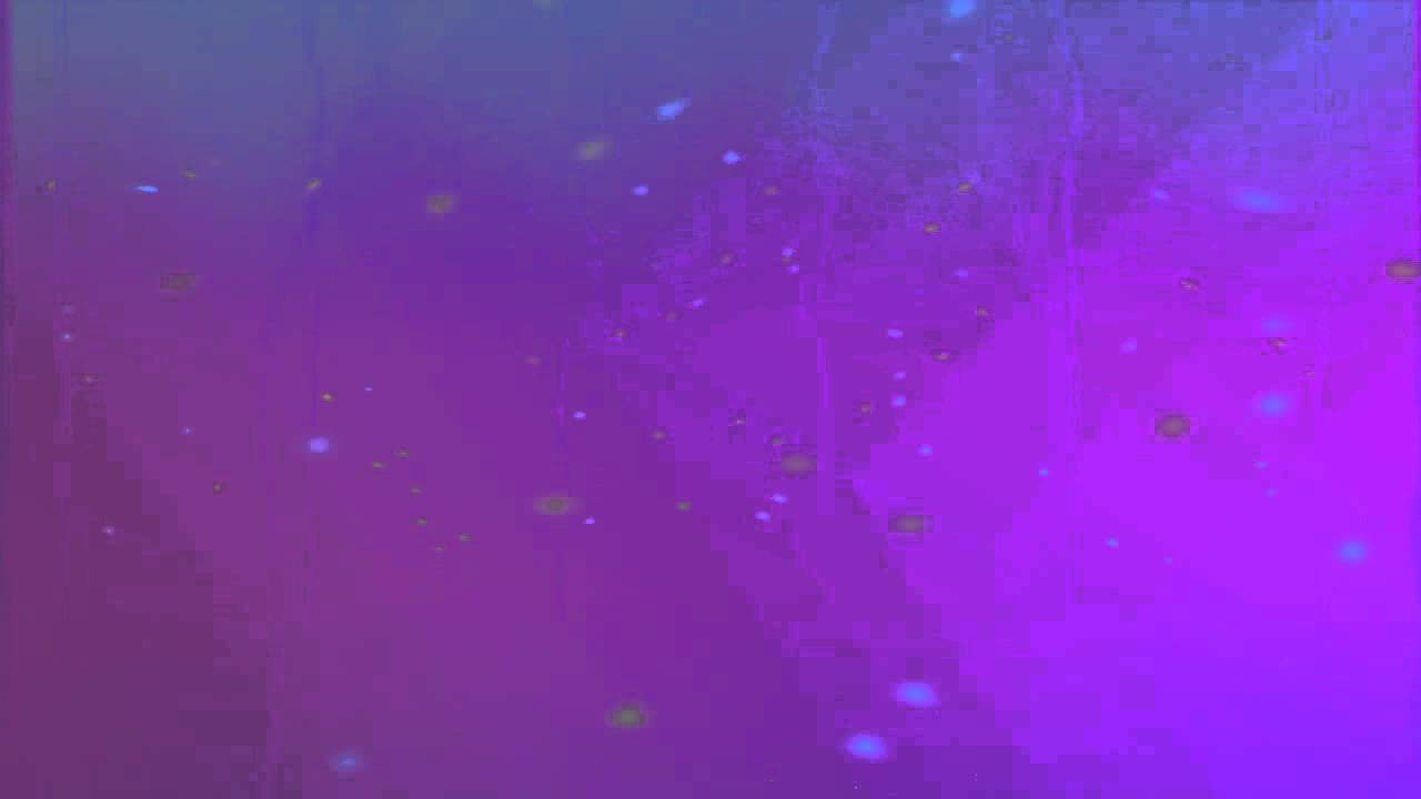 أيهما أفضل كفالة اليتيم أم كفالة اللقيط