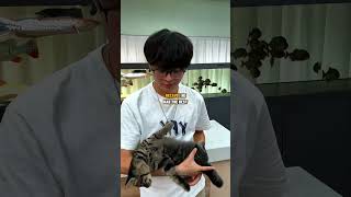 This man built an entire cat shelter after rescuing one kitten ❤️🐱