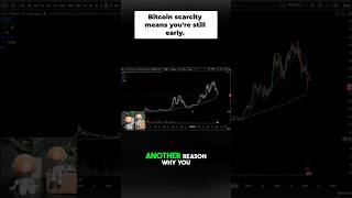 Start stacking Satoshis... before THIS happens!