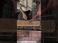 Skilled Workers Bending Steel Rebars for Building Foundations #workwonders #construction