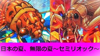 MushiSacredArtifact] Japanese Summer, Endless Summer ~Semi-Riock