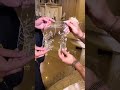 مشاعر لحظة تلبيس الدبل مافي زيها زيديها جمال بدبل بأسماءكم من دار سلا Https Sulastore Com Ar مشاعر لحظة تلبيس الدبل مافي زيها زيديها جمال بدبل بأسماءكم من دار سلا Https Sulastore Com Ar