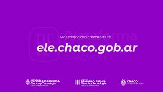 ESI: Aprendizajes y Desafíos en la modalidad de Adultos