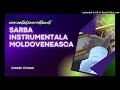 🎶 Colaj sarba instrumentala ca la Moldova - Formatia | Catalin Cristea LIVE