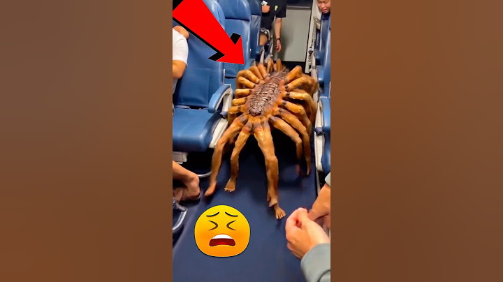 Ако видиш това в самолета, не мърдай! 😱🕷️