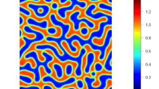 Simulation of a PDE model for small-scale self-organization in mussel beds.