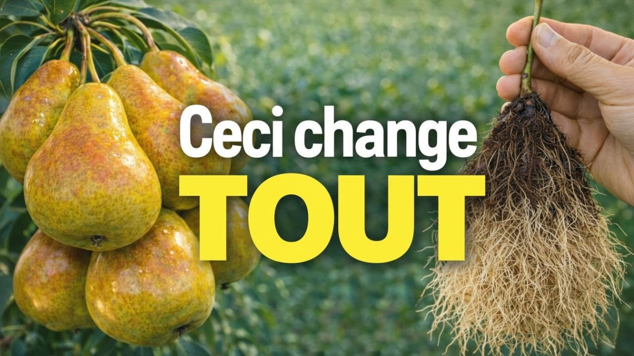 FAIS CECI ET N’IMPORTE QUEL ARBRE PRENDRA RACINE