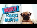 Мопс на кухне | закрытый мопс | мопс хочет выйти | sir mops