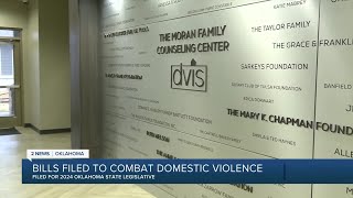 Proposed bills aim to protect domestic abuse survivors