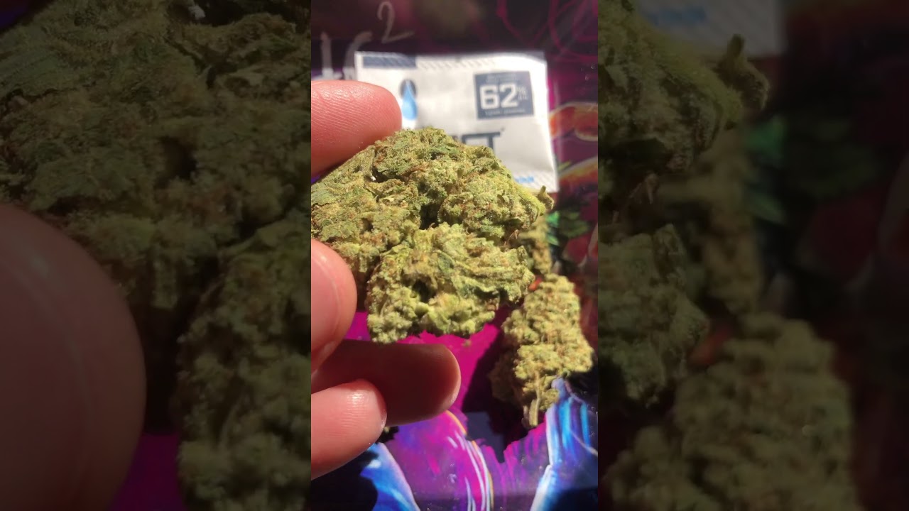 White widow strain HTC