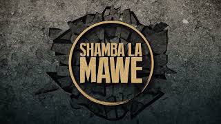 Shamba La Mawe Intro