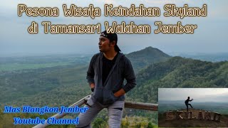 Pesona Keindahan Wisata Skyland Di Tamansari Wuluhan Jember