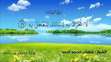 سورة القيامة : الشيخ شعبان محمد احمد