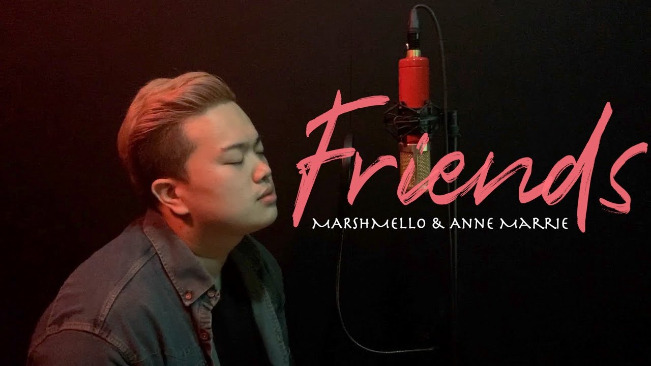 Marshmello & Anne Marie - FRIENDS (cover by. FOWL)
