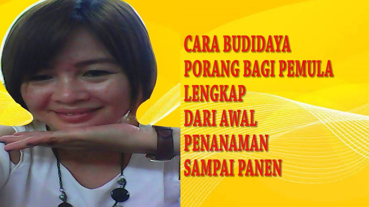 Cara Budidaya Porang Di Bawah Naungan Baik Dari Katak Biji Maupun Umbi