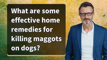What are some effective home remedies for killing maggots on dogs?