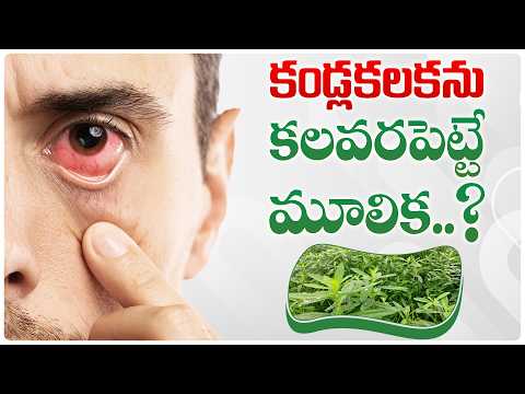 కండ్లకలక వెంటనే తగ్గాలా? జాగ్రత్త! | Eye Allergy Relief? Watch This First