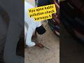 How to check Pollution in car #shorts #puc #ecosprt