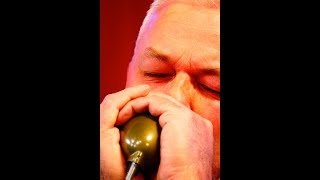 Swiet En Bjuster Yn Noardewyn Live