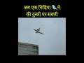 जब एक चिड़िया🐦 ने की दुसरी चिड़िया पर सवारी | amazing fact | funny video #short #shorts #ytshort