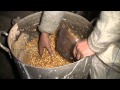 Как прорастить несколько вёдер зерна