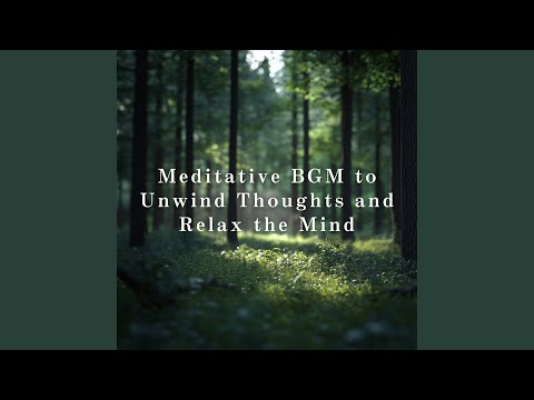 Light Beyond The Veil 