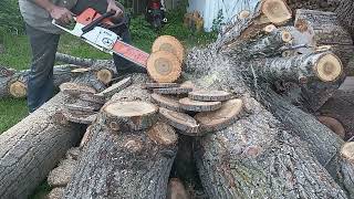Finger-Ported Stihl 036 with xcut chain