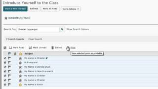 Compiling All Discussion Posts From One Student Into a Readable document in D2L Brightspace