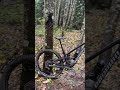 Asmr #mtb #bikes #mountainbike #squamish #canada