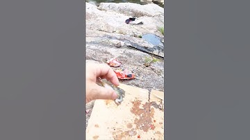 Kết thúc bữa tiệc dã ngoại để về nhà // xin cảm ơn anh em theo dõi - tronpiu vlog #shorts