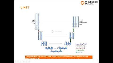Semantic Segmentation of Weeds and Crops in Multispectral Images by using a CNN based on U-Net