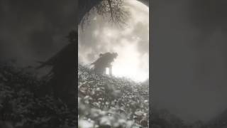 очень красивый финал #shortvideo #games #blodborne