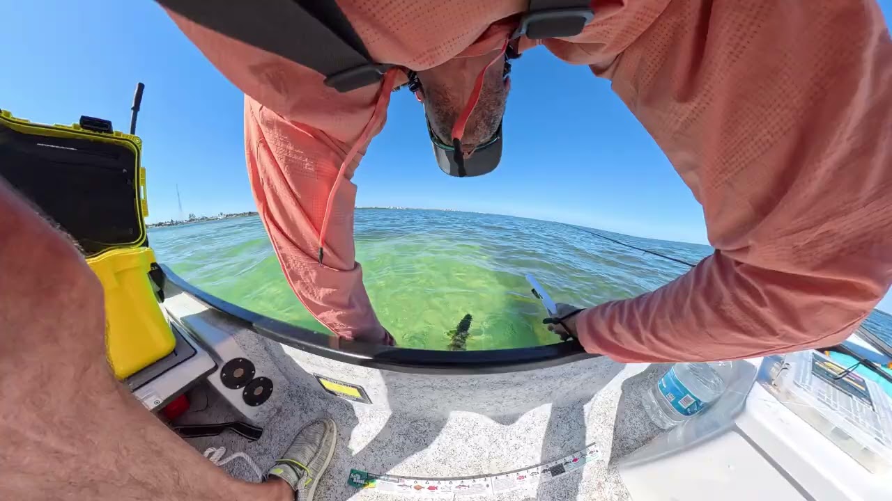 Relaxed and renewed….Back to work soon. 