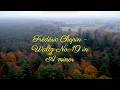 'Frédéric Chopin op de Veluwe' - Waltz No. 19 in A minor