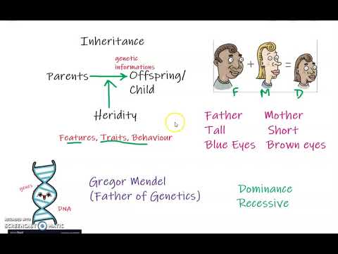 Difference between Inheritance and heredity Class 10 Biology (Heredity and Evolution)