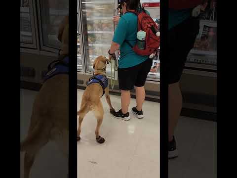 Shopping trip with Scout