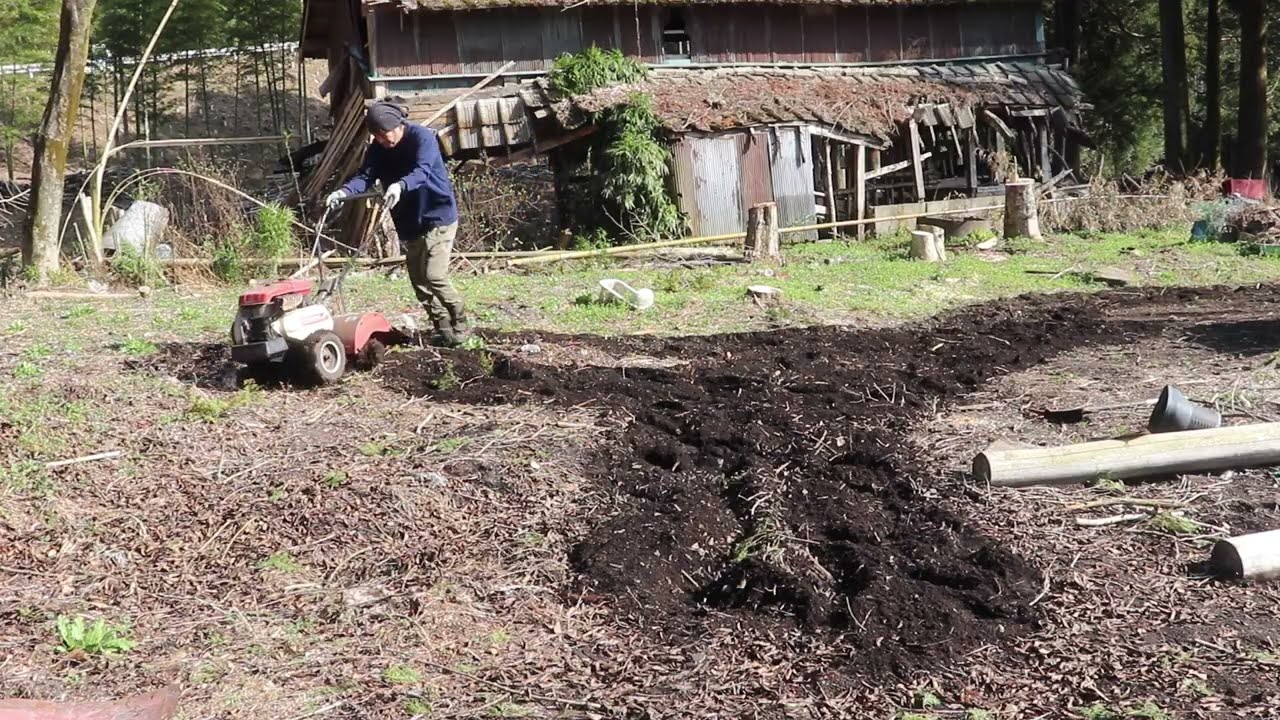 片付け作業が終了したので畑にしていくが石や竹の根がどんどん出てくる