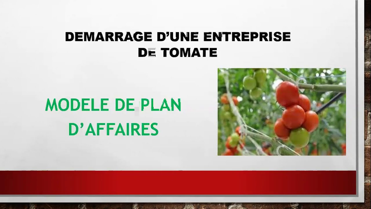 business plan production de tomate pdf