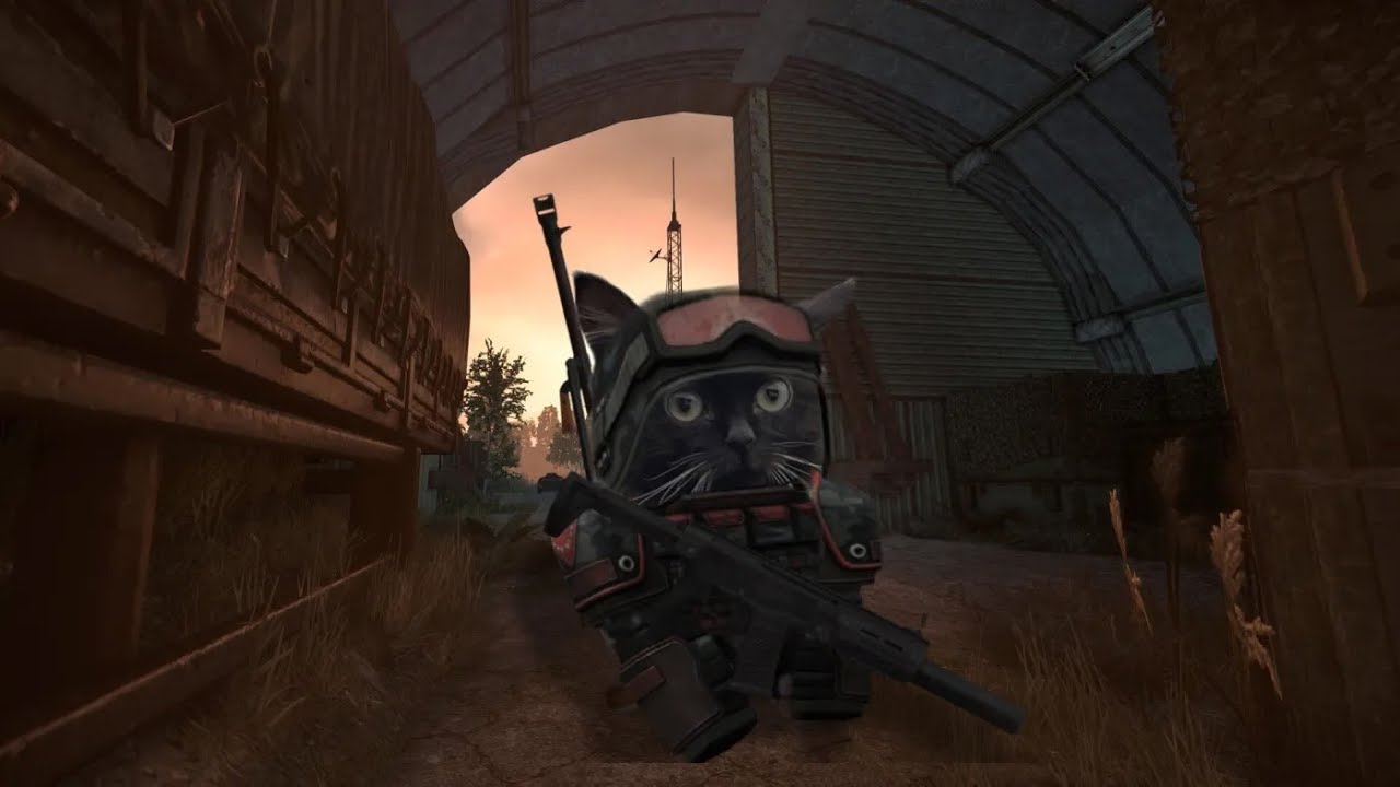 Страдания в STALCUBE! | Соло игра на сталкубовском севере.